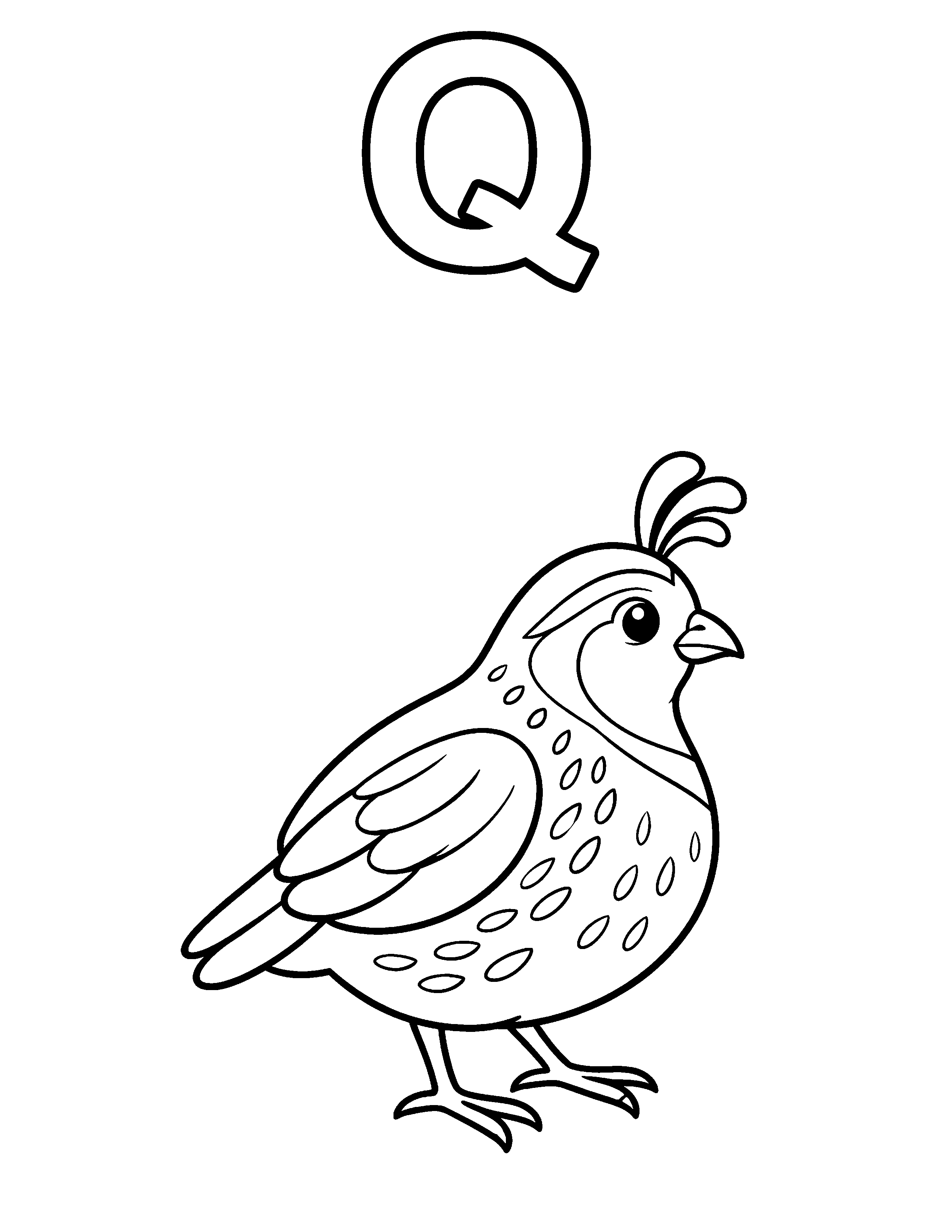 Letter Q Quail black-and-white coloring page