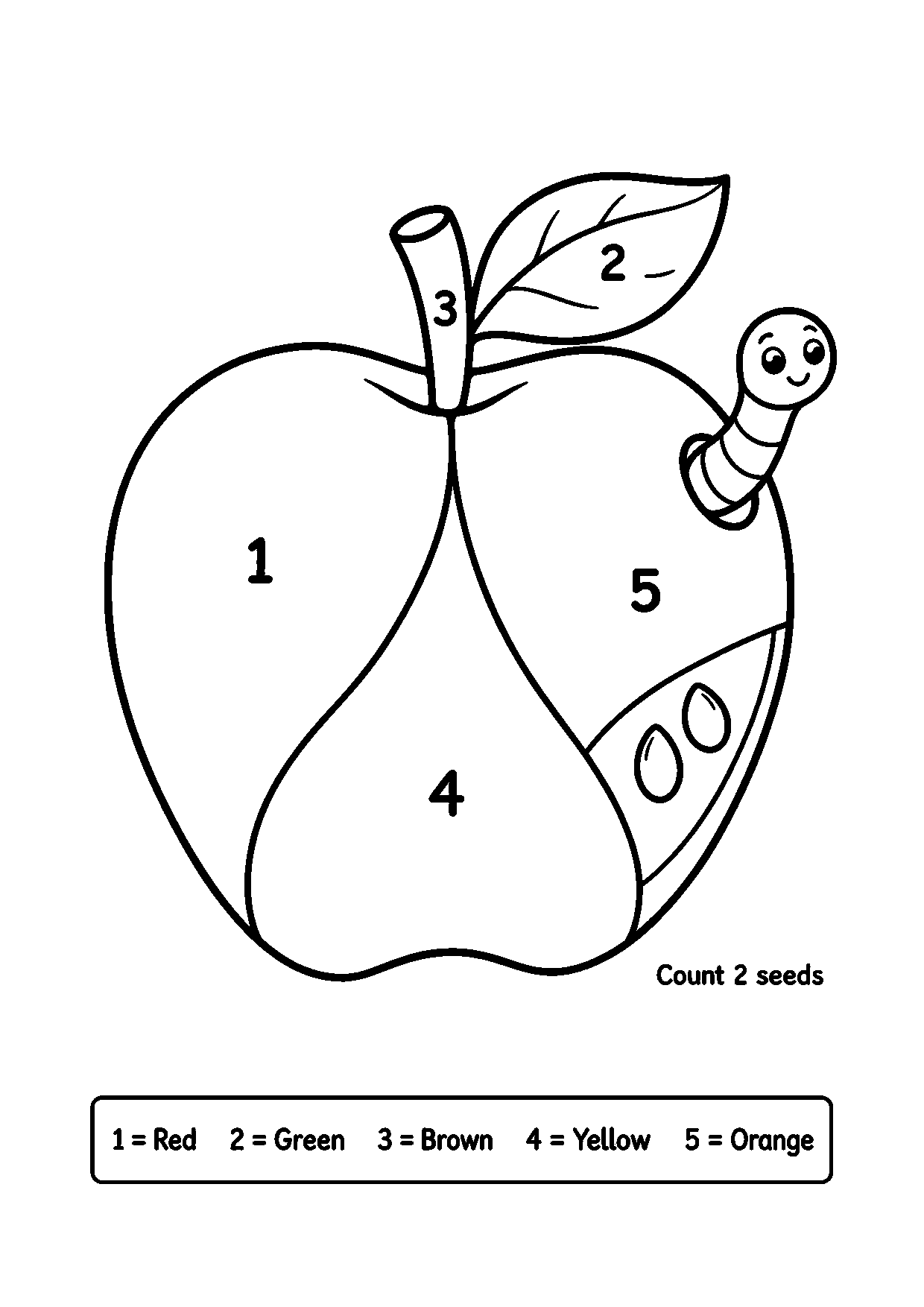 Apple color-by-number worksheet with two seeds in an apple cutaway