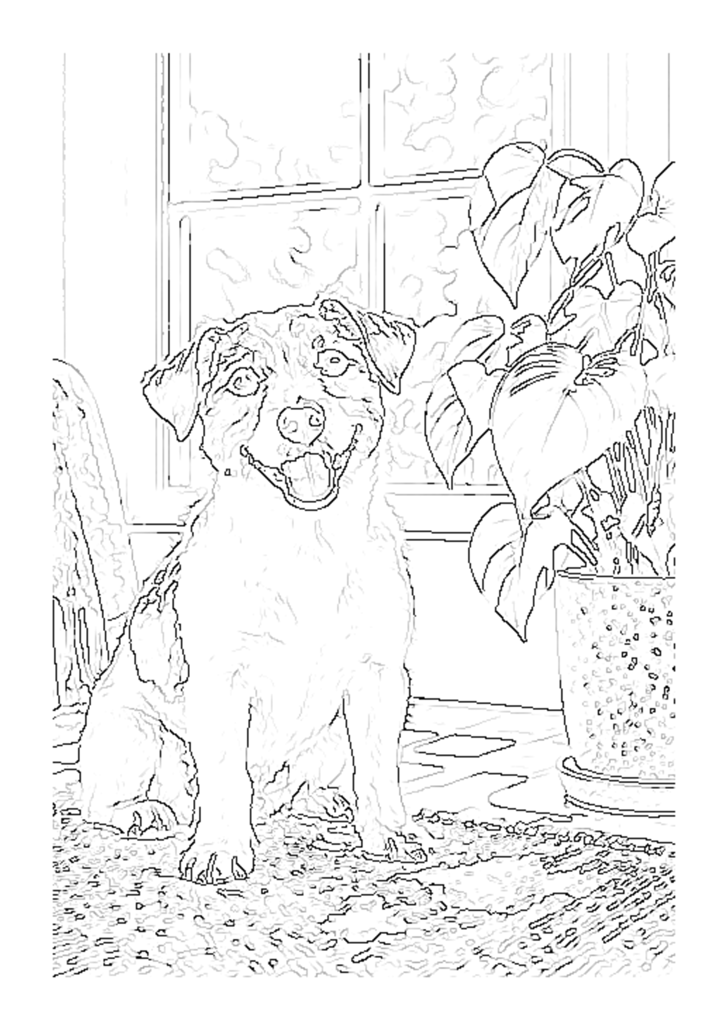 Actual Clean Outline coloring-page result made from the same sample dog photo, with visible dog contours and some background and rug texture