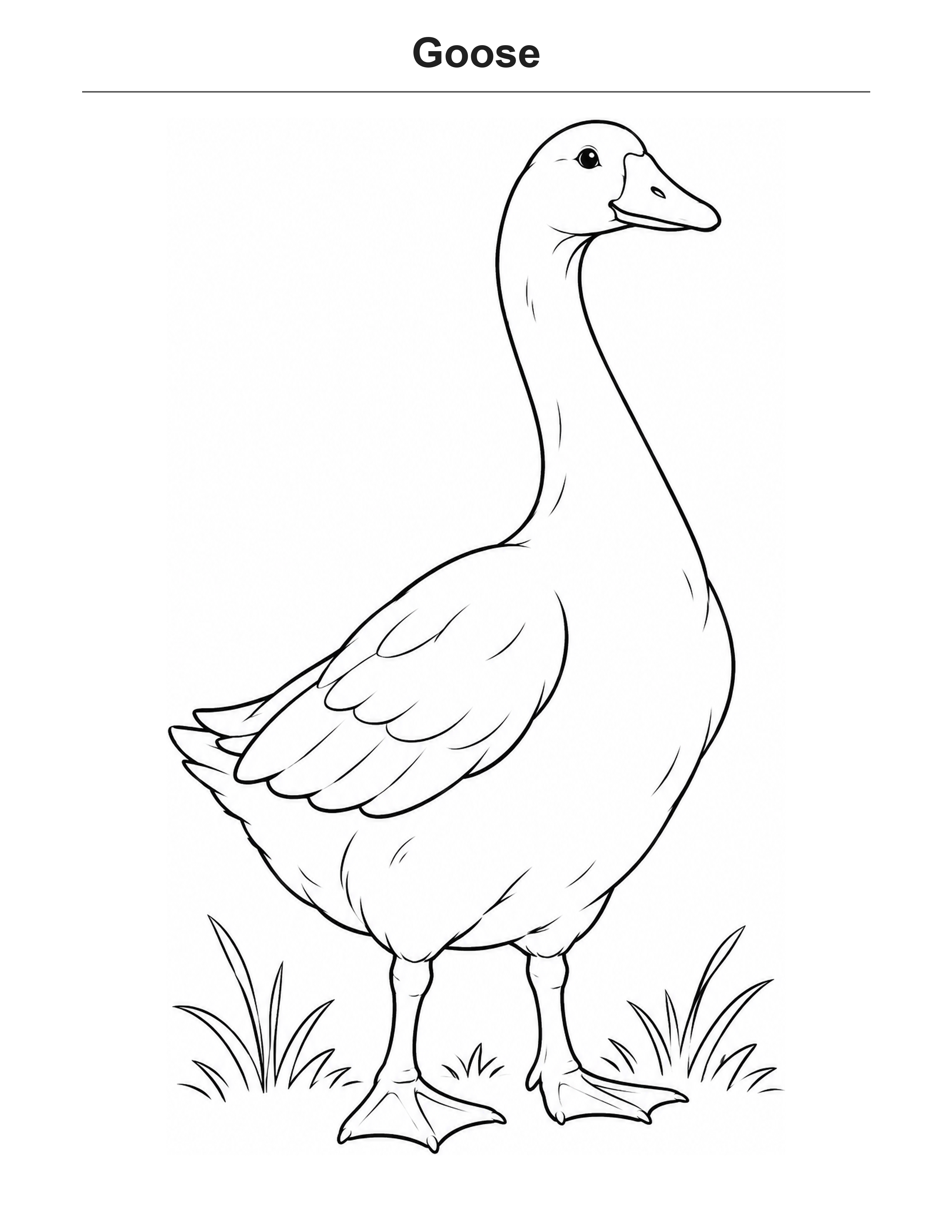 Goose coloring page: A farm goose standing in a grassy patch.