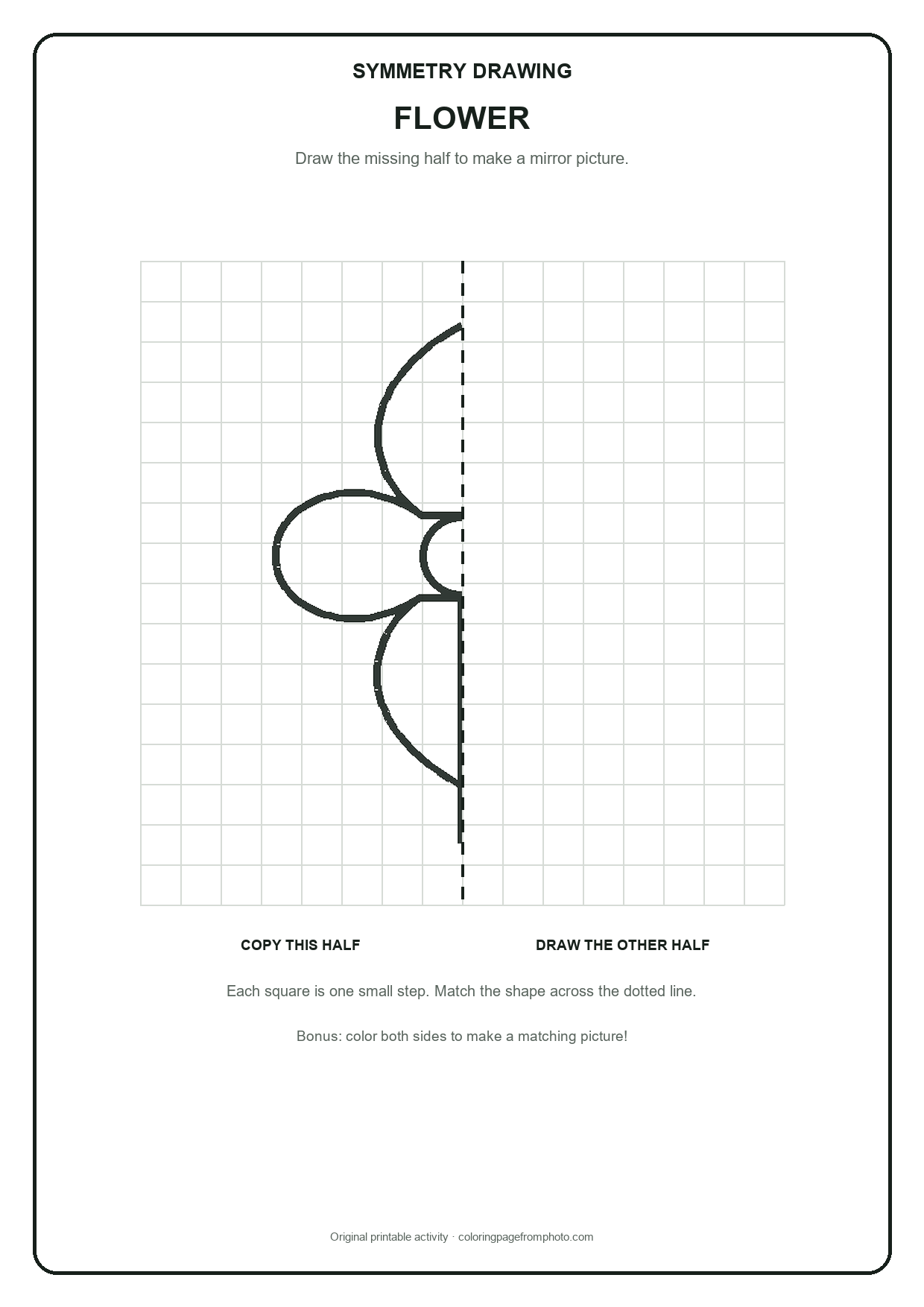 Printable flower symmetry drawing printables activity