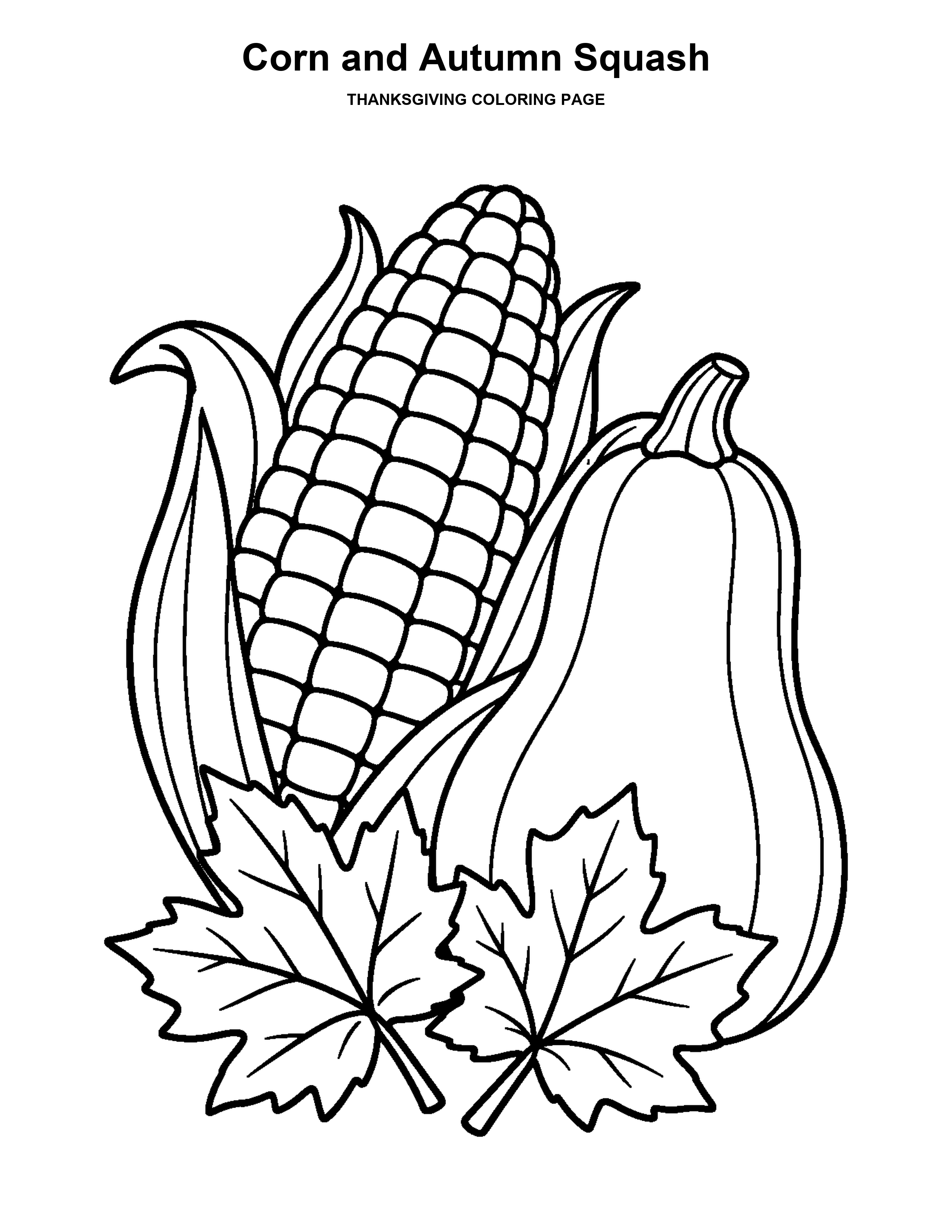 Corn and Autumn Squash coloring page: Golden corn and a squash are framed by fall leaves.